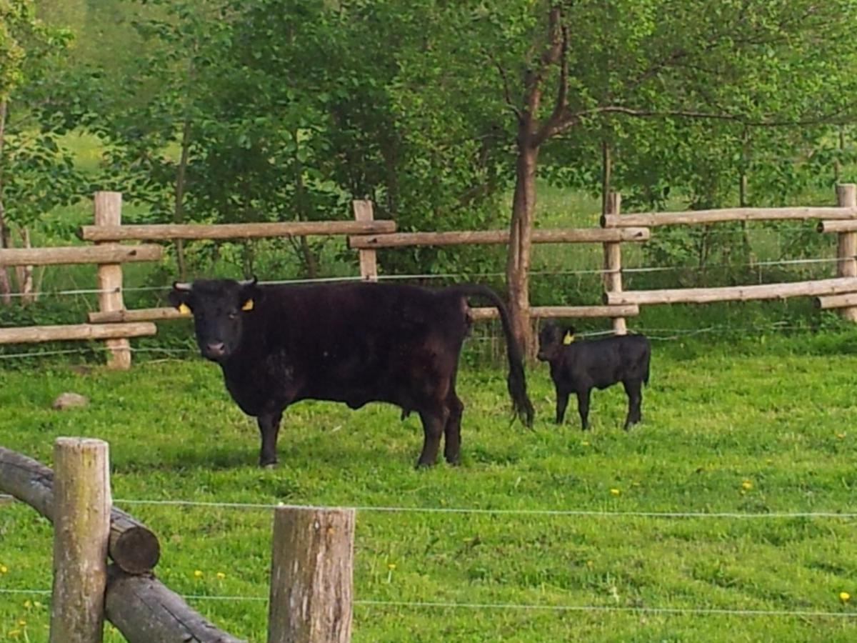 Doppelzimmer Im Spreewald Burg  Luaran gambar